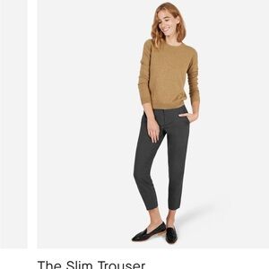 Everlane Gray Ankle Cropped Pants